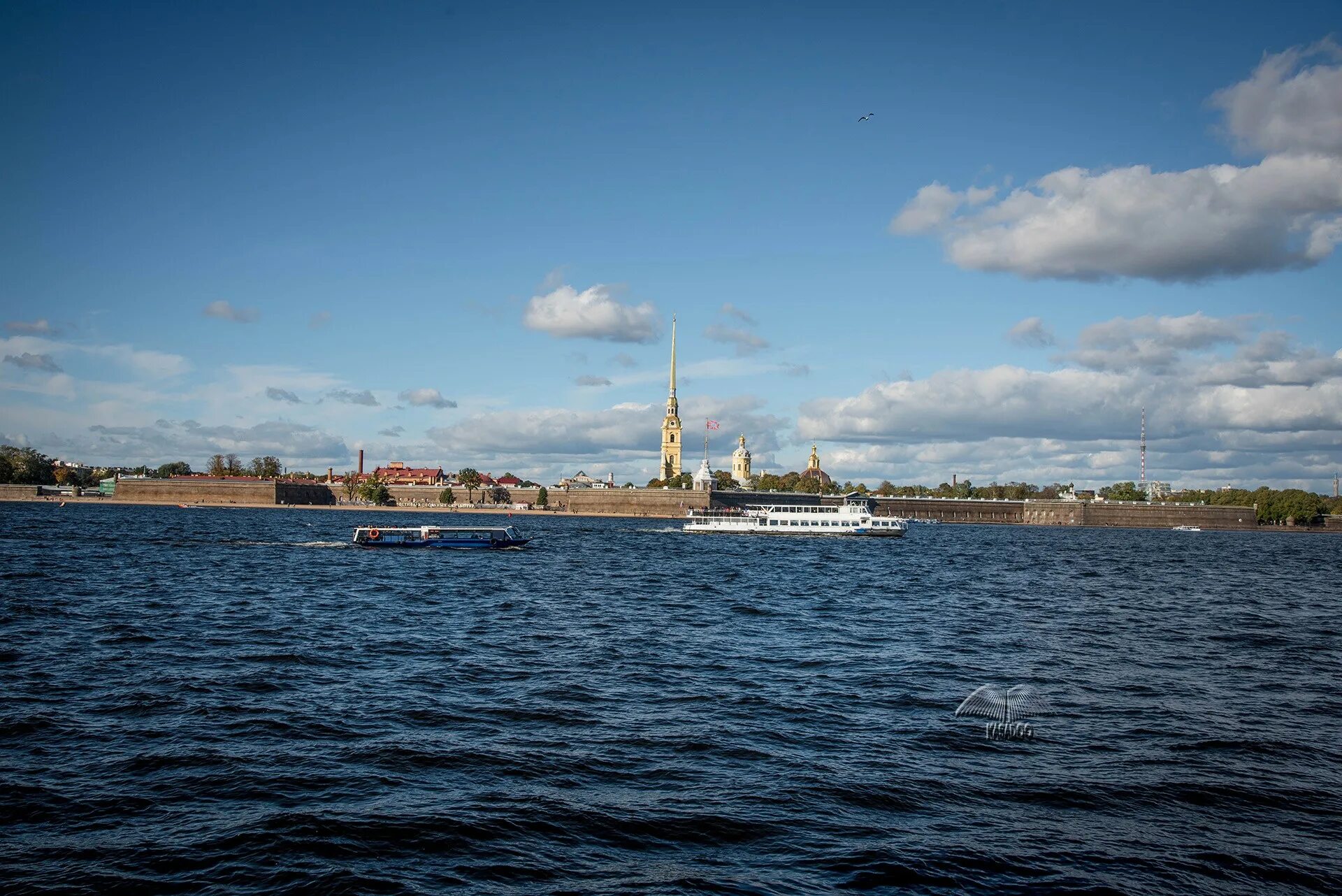 Ширина реки невы. Петропавловская крепость река. Петербург Нева Петропавловская. Река Нева. Достопримечательности Невы реки.