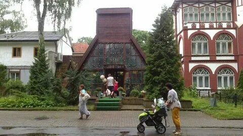 Цветы светлогорск калининградская область