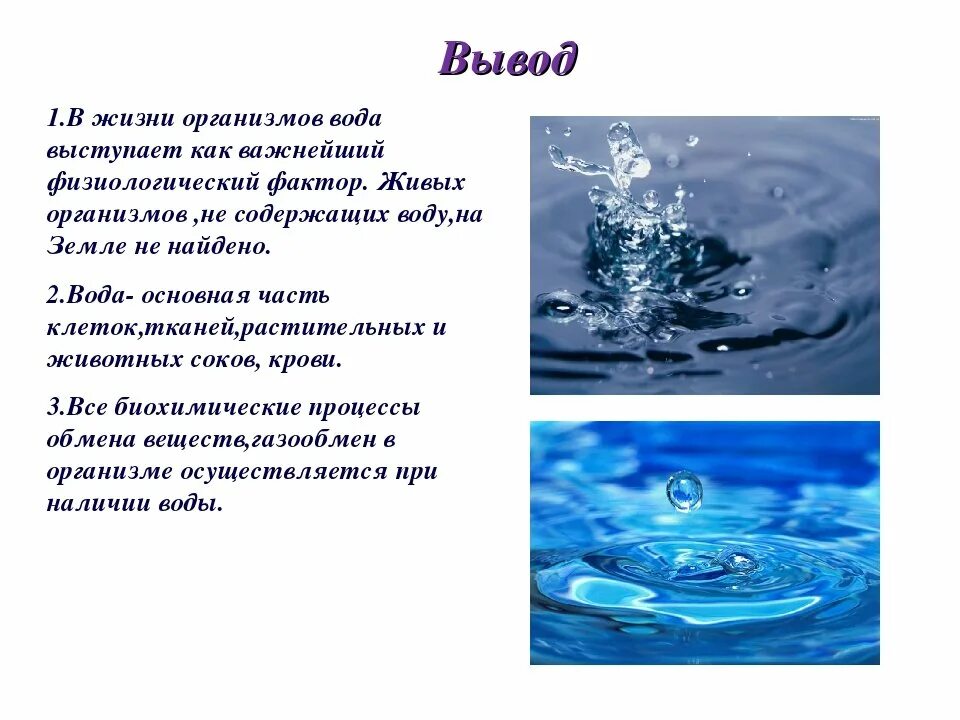 Вода для презентации. Презентация на тему вода. Проект вода. Доклад о воде. Какую роль играет вода в жизни человека