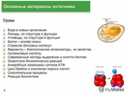 Биологический катализатор 7