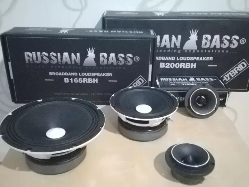 16 басс. Динамики Russian Bass 20 cm rbh200. DL Audio Phoenix Hybrid Neo 165. Russian Bass b200rbf. Рашен бас 200 РБФ.