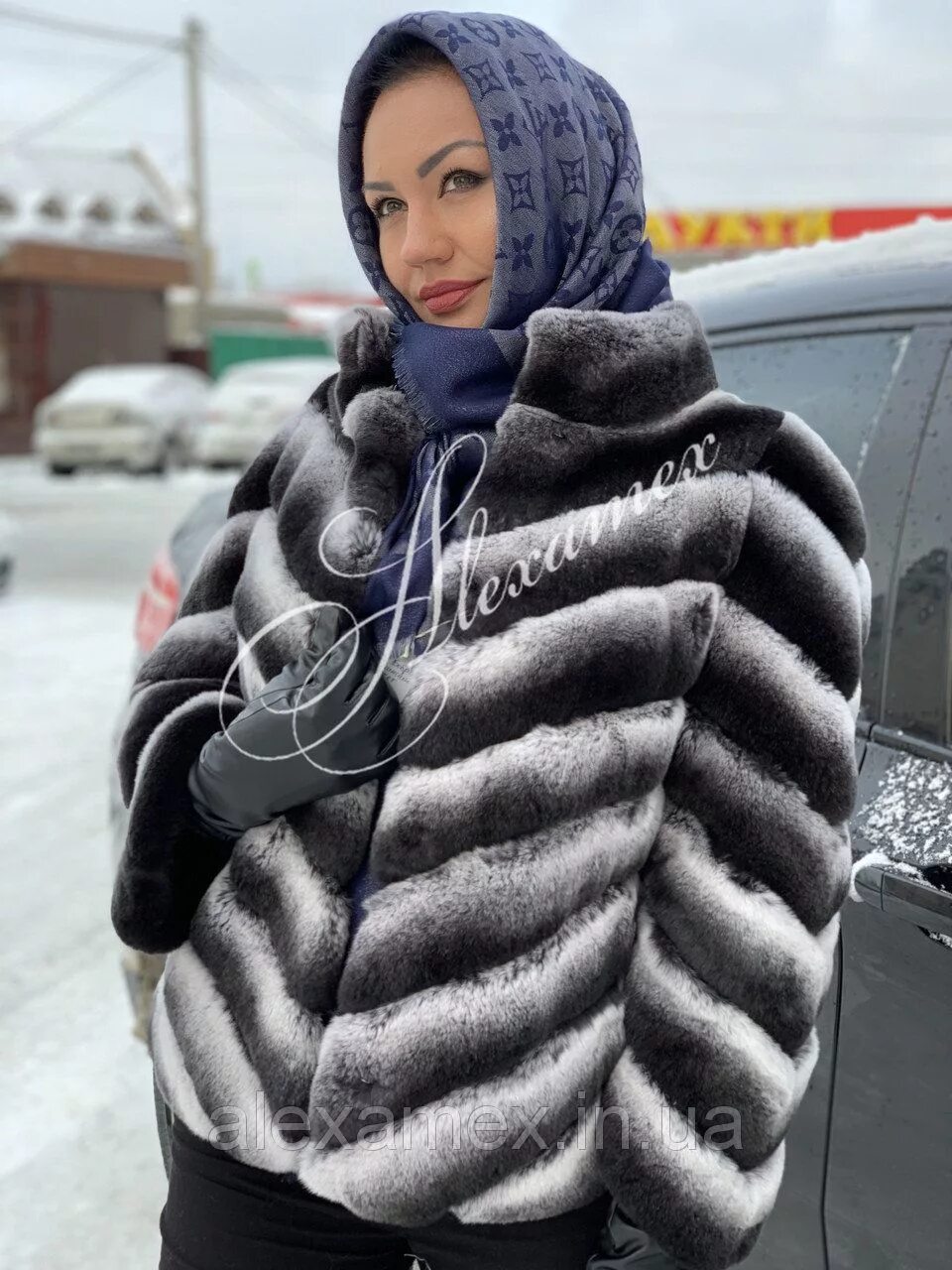 Шиншилловый кролик рекс