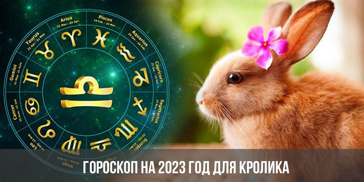 24 год год кролика. Год кролика 2023. Гороскоп на 2023 год. Следующий год кролика. Год кролика гороскоп.