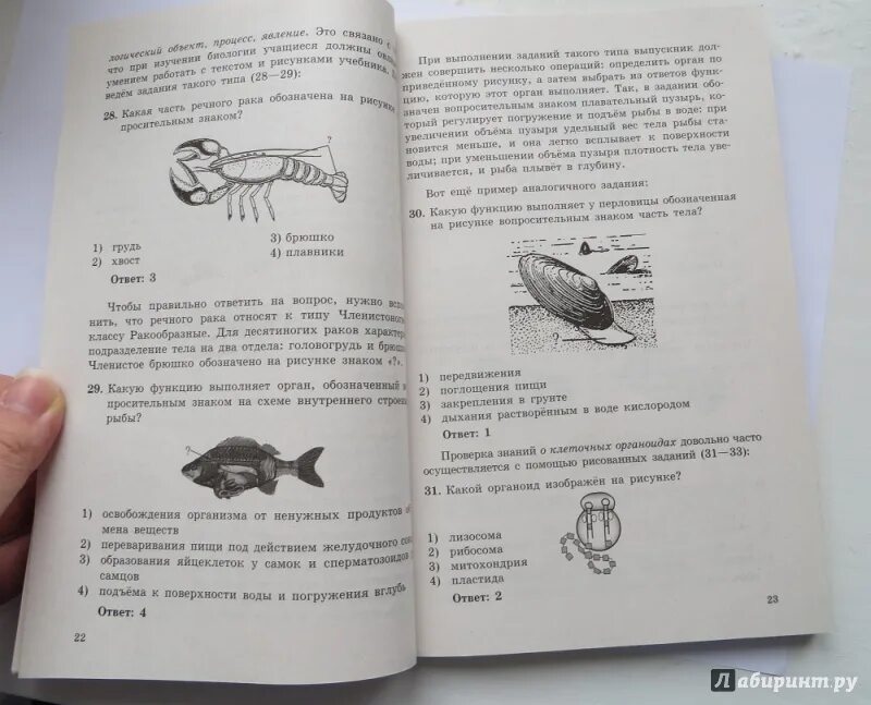 Петросова биология ЕГЭ. ЕГЭ биология Никишова Калинова. Петросова биология 7 класс. Учебник ЕГЭ по биологии 2023. Никишов шарова биология 8