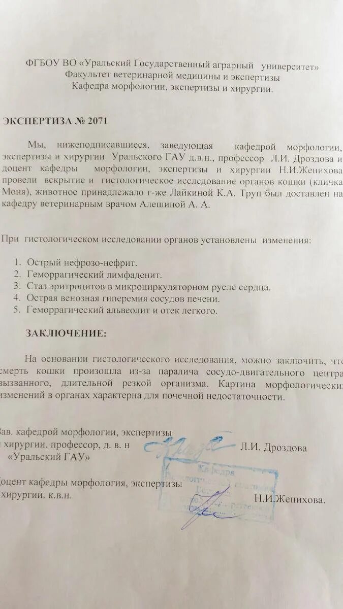 акт вскрытия персональных компьютеров. протокол вскрытия кошки. акт вскрытия конверта образец. форма n 3. заключение ветеринарного врача.