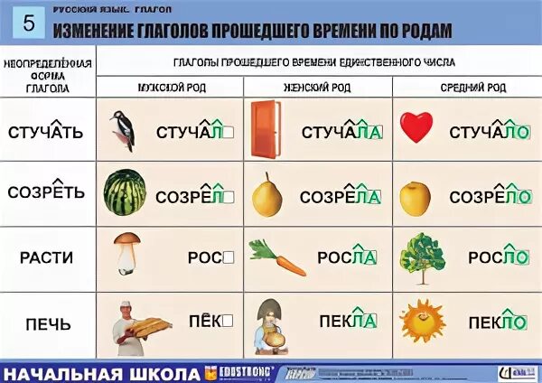 Род глагола жил