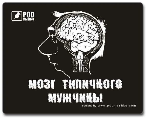 Что такое у тебя есть мозги