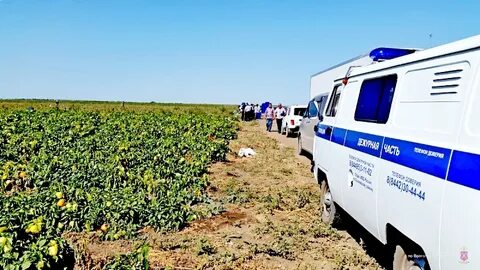 Гисметео волгоградская область быковский