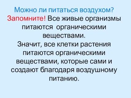 Питающиеся органическими веществами