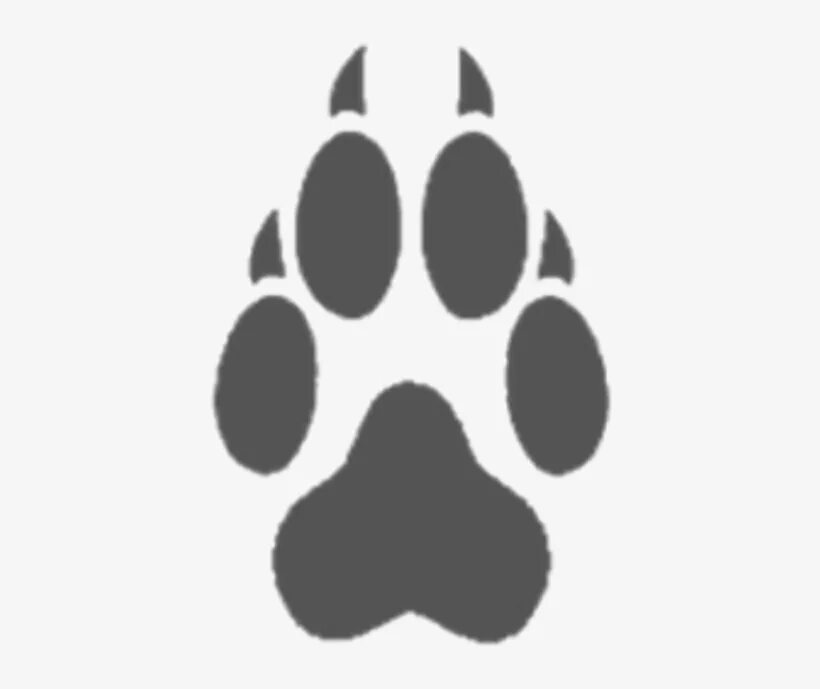 След лапы волка. Отпечаток лапы льва. След волка. Отпечаток лапы льва. Волчья лапа рисунок.