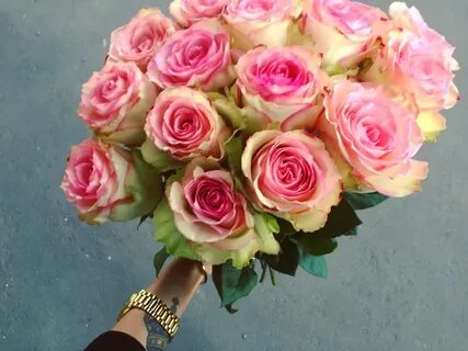 Rose premium