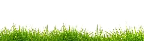 Сайт grass