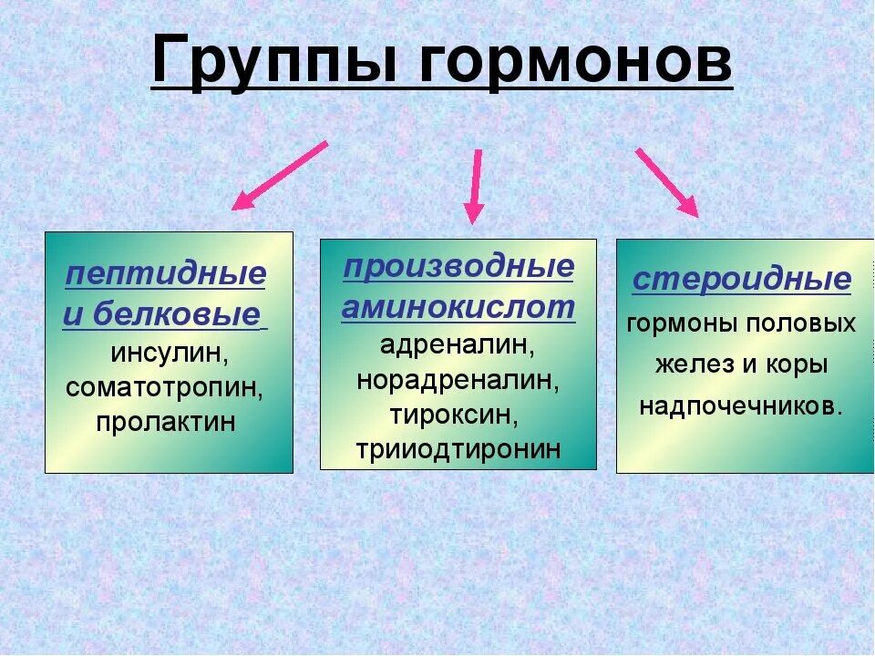 Гормонов в первую очередь. Разновидности гормонов. Гормоны и их виды. Гормоны виды гормонов. Типы гормонов человека.