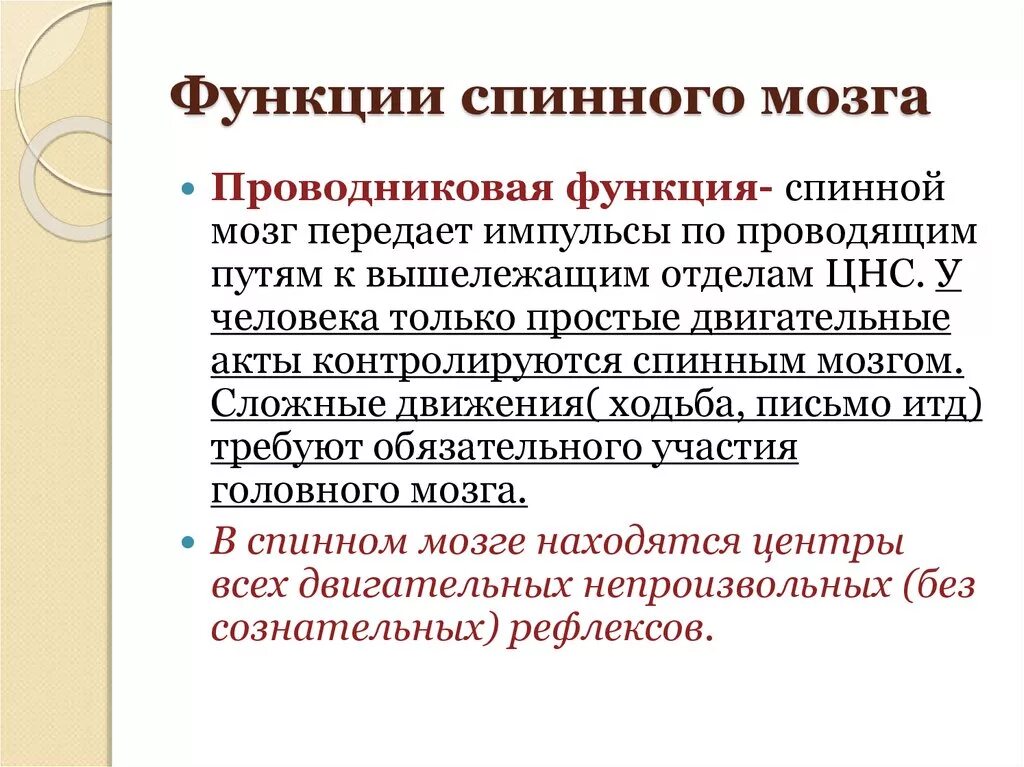 Функции спинномозгового мозга. Функции спинного мозга. Физиологические особенности спинного мозга. Проводниковая функция спинного мозга. Проводниковая функция спинного.