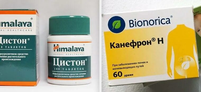 Лекарство от почек цистон. Таблетки при воспалении мочеполовой системы. Таблетки от заболевания почек и мочевыводящих путей. Цистон, таблетки, 100 шт. Канефрон капли.