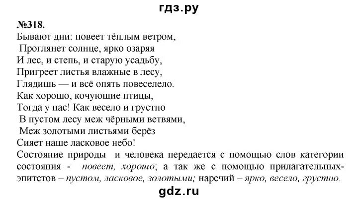 Солнце поднимается и лес озаряется ярко красным