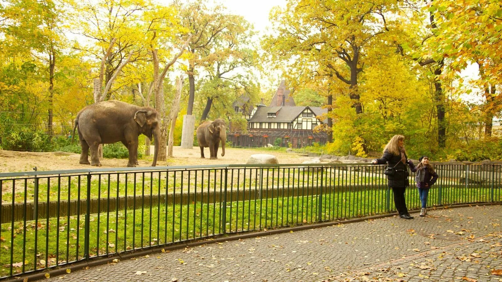 Zoo animals park. Тиргартен в Берлине зоопарк. Берлинский зоопарк Берлин. Берлинский зоопарк слоновник. Германия Берлинский Зоологический сад.