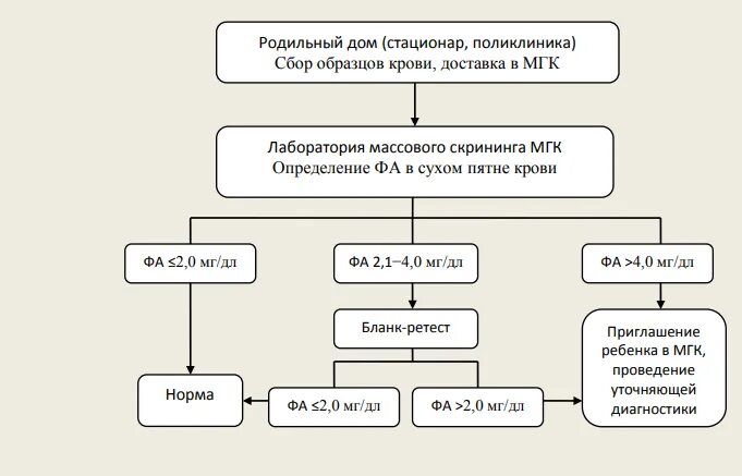 Скрининг на гипотиреоз. Схема неонатального скрининга на фенилкетонурию. Схему неонатального скрининга на фенилкетонурию в МГК. Скрининг неонатальный при адреногенитальном синдроме. Неонатальный скрининг на врожденный гипотиреоз схема.