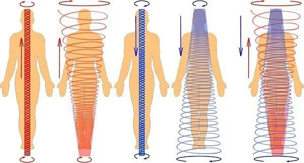 Нисходящий человек. Нисходящие и восходящие потоки энергии в теле. Восходящий и нисходящий поток энергии человека. Центральные энергетические потоки восходящий и нисходящий. Энергетические потоки в теле.