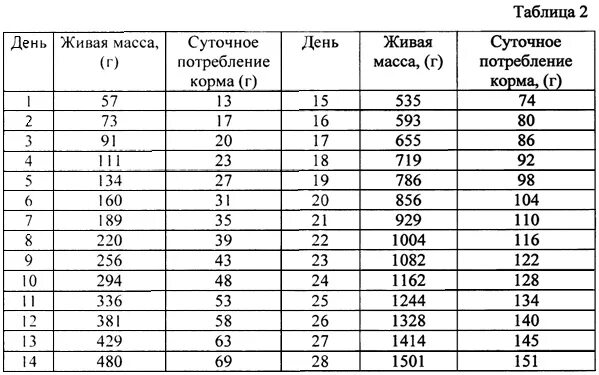 Какой вес должен быть у бройлеров