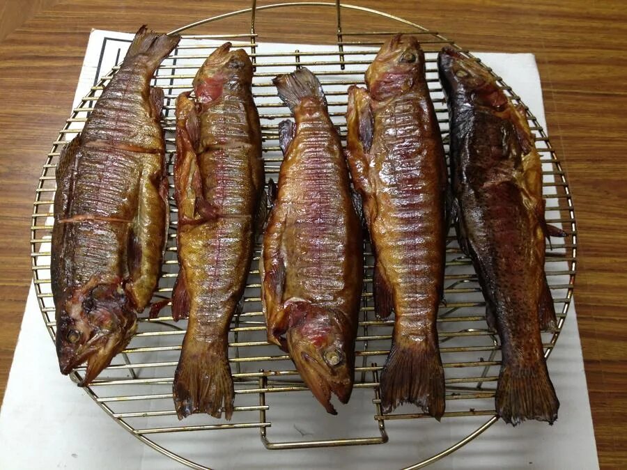 скумбрия полугорячего копчения. коптильня для мяса. копчение рыбы в коптильне. коптильня для рыбы горячего копчения. копченый хариус в коптильне.