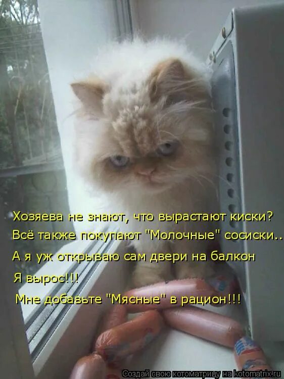 Не знаю как тут