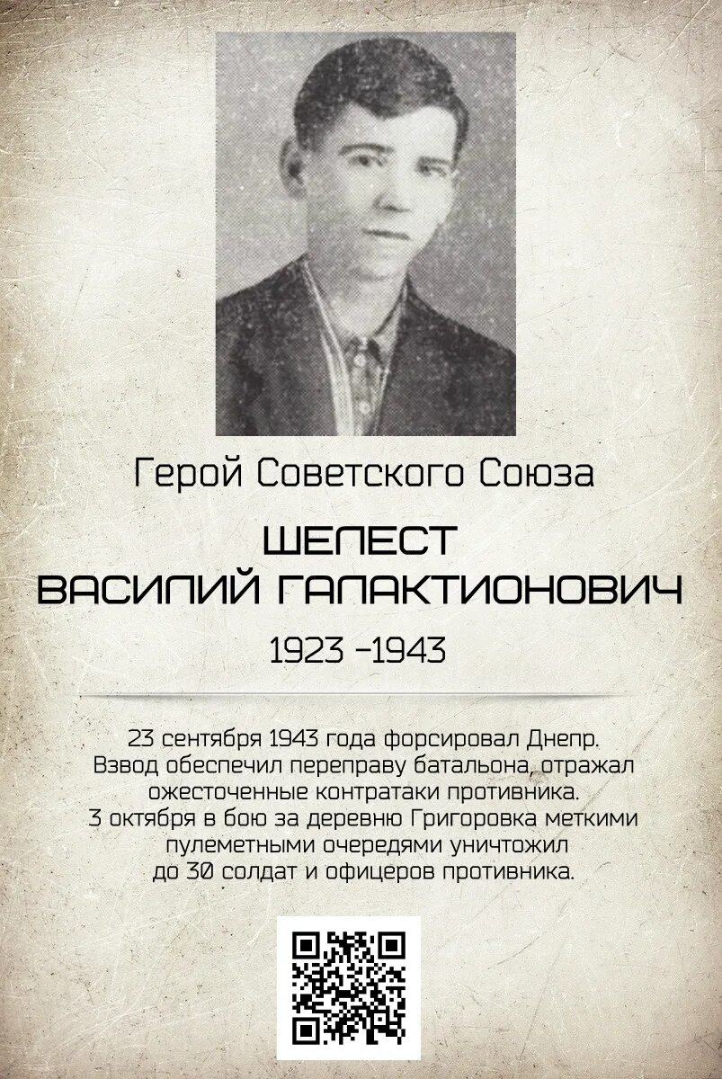 Шелест герои. Шелест герой советского союза. Шелест герои. Шелест герои. Шелест герои.