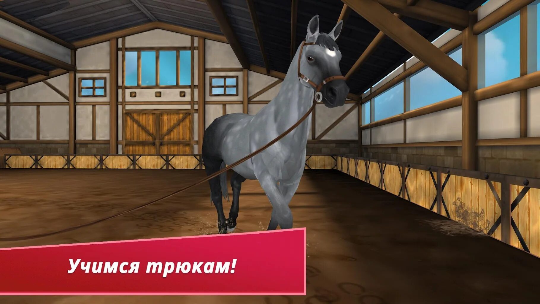 Игра про лошадей конюшня. Horse hotel. Horse hotel. Конюшня в англии. Horse hotel уход за лошадьми.