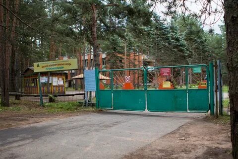 Лагерь стремительный псковская область