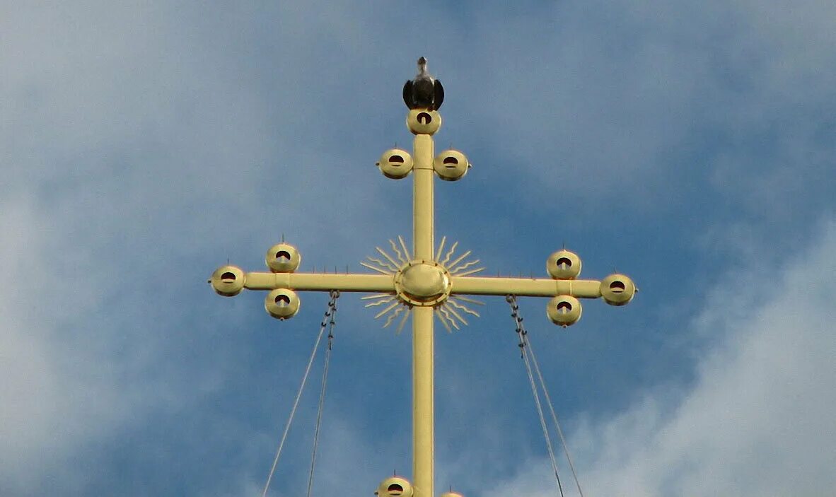 Крест софийского собора. Голубь на кресте софийского собора в новгороде. Крест софийского собора великий новгород. Голубь на кресте софийского собора в новгороде. Голубь на софийском соборе в великом новгороде.