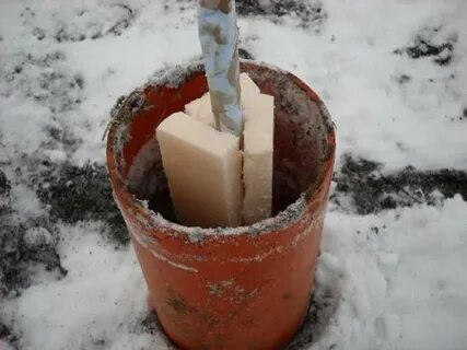 Утеплить яблоню на зиму в первый год