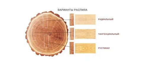 Тангенциально это