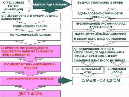 Тесты по менингококковой инфекции с ответами