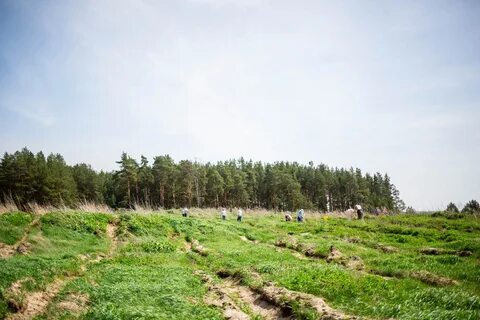 Поселения мордовии