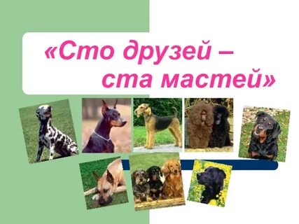 100 друзей слова