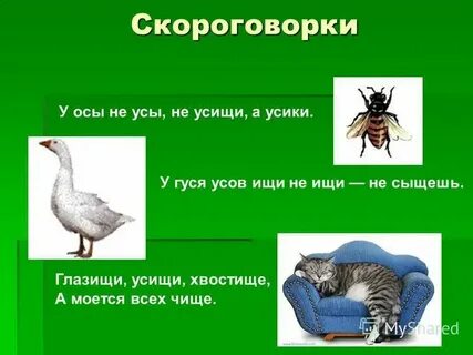 У осы не усы скороговорка