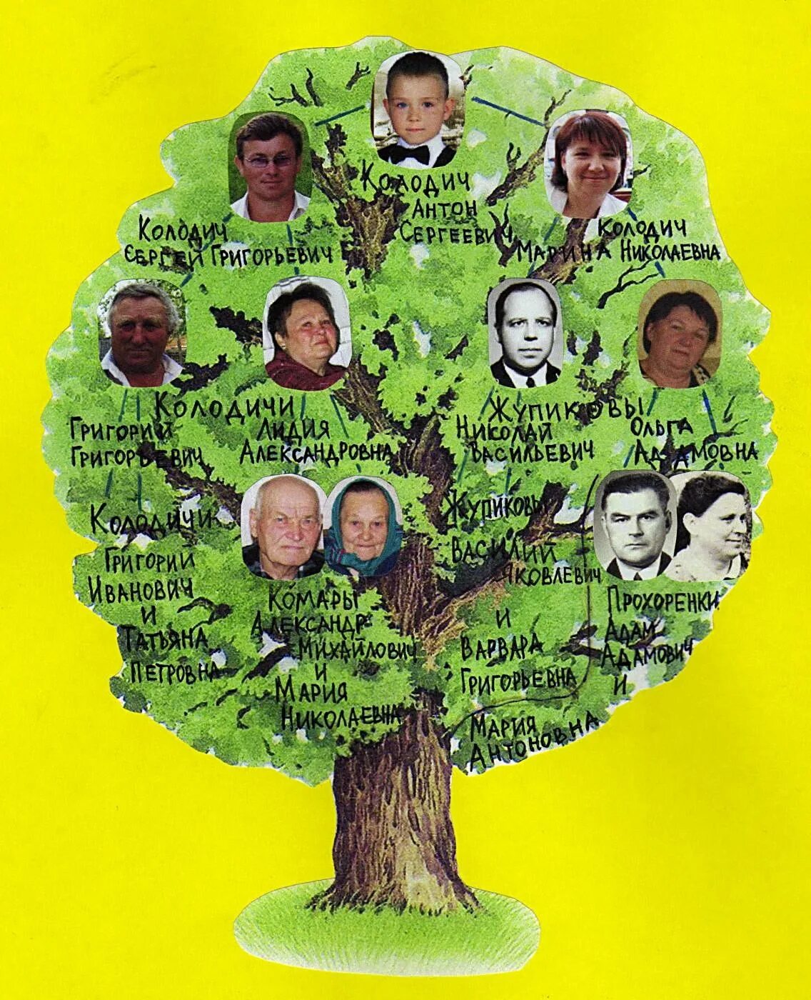 Древо часть 2. Проект родословная. Генеалогическое дерево. Проект моя родословная. Родословная окружающий мир.