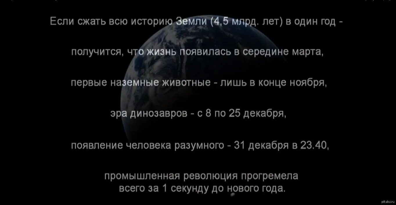 История жизни на земле. Биологическая история земли. 1 год земли. Эволюция земли за 24 часа. Bbc: история земли (2 dvd).