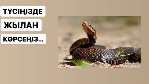 Дәретханадағы топтық секс үшін порно алаяқтық