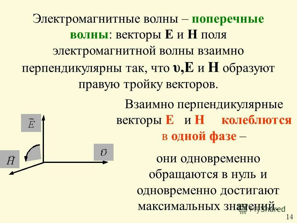 Поперечность электромагнитных волн. Поперечная электромагнитная волна. Электромагнит волна векторы e и. Взаимно перпендикулярные векторы.