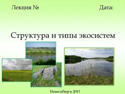 Как определить вид экосистемы