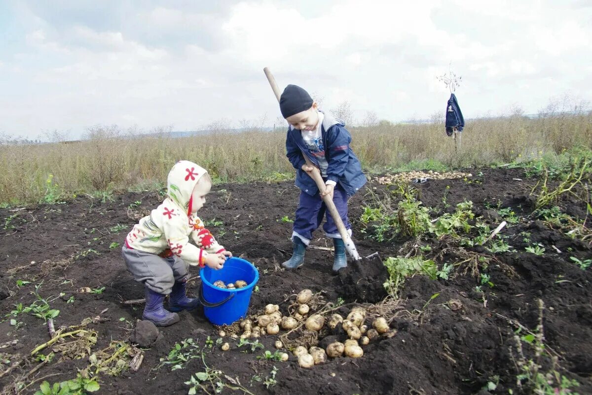 Деревня способствует