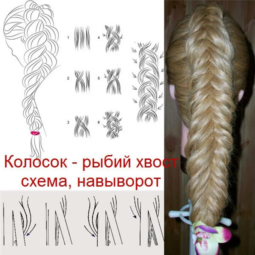 Плетение колосков пошагово. Коса колосок техника плетения. схема плетения колоска на выворот. французская коса схема плетения пошагово. схема плетения французской косы пошагово для начинающих.