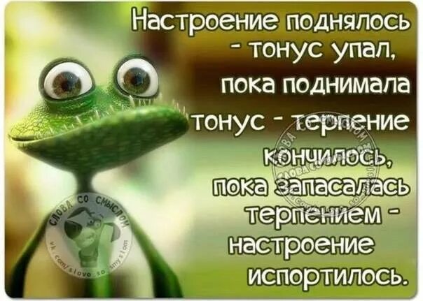 Хотите подниму настроение. Цитаты которые поднимают настроение. цитаты повышающие настроение. слова которые поднимают настроение. надо поднимать настроение.