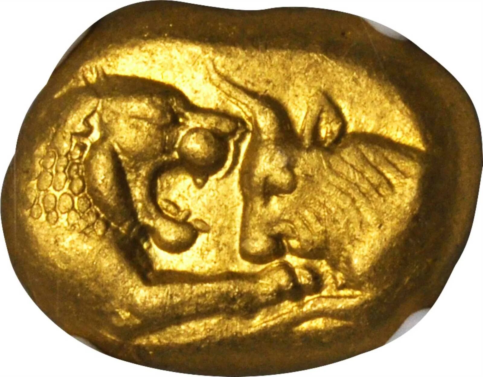 Xblast монета. Крёз (царь Лидии) на монете. Золотой статер Лидии, 564-539 г до н.э.. Золотой статер Лидии.