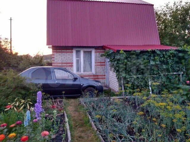 Малиновка дача. СНТ Малиновка Пенза. Малиновка дачи Пенза. Дачи в Засечном. Снт малиновка купить