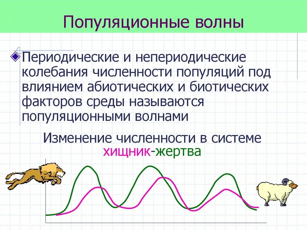 Причины изменения численности популяции в экосистеме. Популяционные волны, "волны жизни"(с. с. Четвериков) -. Периодические и непериодические колебания численности популяции. Периодические популяционные волны. Популяционные волны это в биологии.