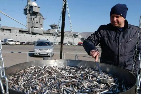 Хамса в новороссийске