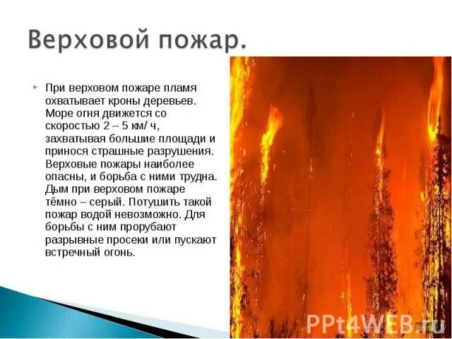 Верховой пожар наиболее опасен ответы. Верховые пожары доклад. Верховой пожар наиболее. Сообщение о верховом пожаре. Верховые пожары примеры.