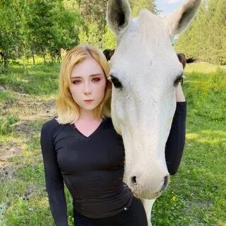 Сивити фокс